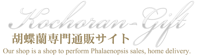 胡蝶蘭専門通販サイト『胡蝶蘭ギフト』