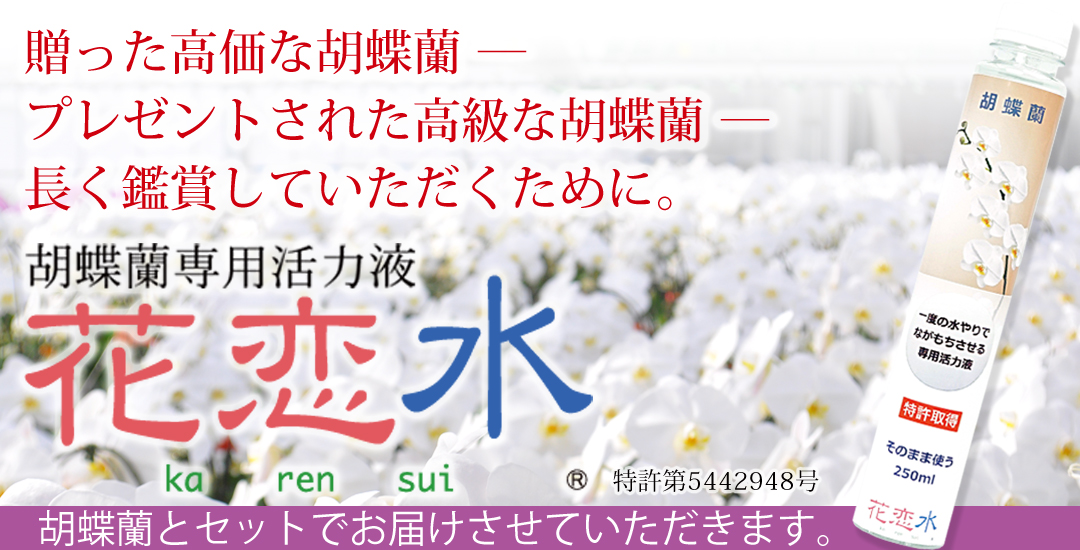 花恋水